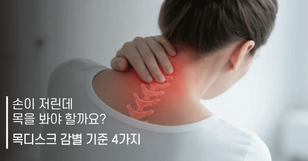 안산목디스크